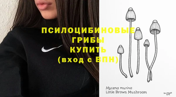 mdpv Алексеевка