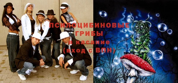 дмт Елизово