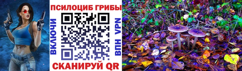 Псилоцибиновые грибы мицелий  Комсомольск 
